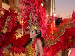 Carnaval de Mula 2012